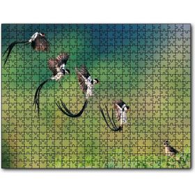 Cakapuzzle Zaman Atlamalı Fotoğrafçılık Kuş Görseli 255 Parça Puzzle