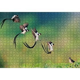 Cakapuzzle Zaman Atlamalı Fotoğrafçılık Kuş Görseli Mdf 500 Parça Puzzle