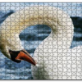 Cakapuzzle Zarif Beyaz Kuğu Yakın Plan Mdf 1000 Parça Puzzle