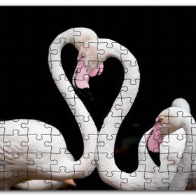 Cakapuzzle Zarif Boyunlarıyla Beyaz Flamingolar Mdf 1000 Parça Puzzle