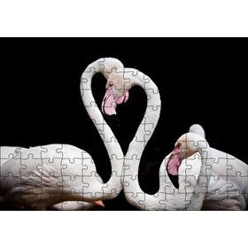 Cakapuzzle Zarif Boyunlarıyla Beyaz Flamingolar Mdf 120 Parça Puzzle