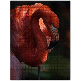 Cakapuzzle Zarif Flamingo 500 Parça Puzzle