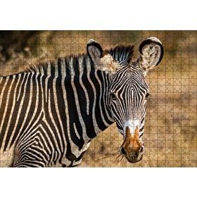 Cakapuzzle Zebra ve Muhteşem Dalgalı Şeritleri 120 Parça Ahşap Puzzle