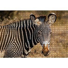 Cakapuzzle Zebra ve Muhteşem Dalgalı Şeritleri 120 Parça Ahşap Puzzle