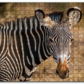 Cakapuzzle Zebra ve Muhteşem Dalgalı Şeritleri Mdf 120 Parça Puzzle