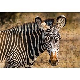 Cakapuzzle Zebra ve Muhteşem Dalgalı Şeritleri Mdf 120 Parça Puzzle