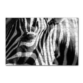 Cakapuzzle Zebra Yakın Çekim Siyah Beyaz 120 Parça Ahşap Puzzle