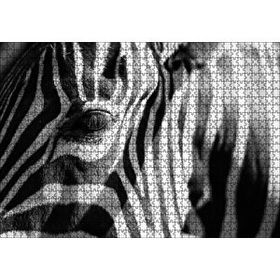Cakapuzzle Zebra Yakın Çekim Siyah Beyaz 120 Parça Ahşap Puzzle