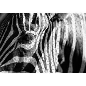 Cakapuzzle Zebra Yakın Çekim Siyah Beyaz 120 Parça Ahşap Puzzle
