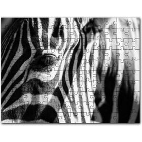 Cakapuzzle Zebra Yakın Çekim Siyah Beyaz 500 Parça Puzzle