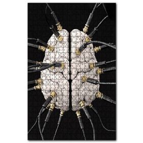 Cakapuzzle Zihin Beyin Kontrol Figürü Görseli Ahşap 255 Parça Puzzle