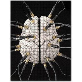 Cakapuzzle Zihin Beyin Kontrol Figürü Görseli Ahşap 255 Parça Puzzle