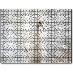 Cakatablo Beyaz Tavus Kuşu Görseli 255 Parça Puzzle