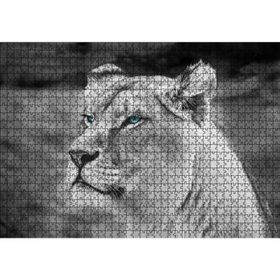 Cakatablo Dişi Aslan Monochrome 1000 Parça Puzzle