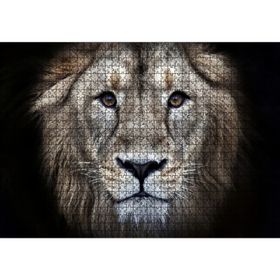 Cakatablo Erkek Aslan Siyah Zemin 1000 Parça Puzzle