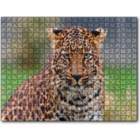 Cakatablo Genç Leopar 1000 Parça Puzzle