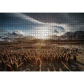 Cakatablo Güney Georgia'da Kral Pengueni Yavruları 1000 Parça Puzzle