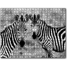 Cakatablo İki Sevimli Zebra Görseli 1000 Parça Puzzle