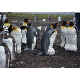 Cakatablo İmparator Penguenleri ve Yavru 1000 Parça Puzzle