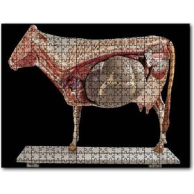 Cakatablo İneğin İç Organlarının Görseli 1000 Parça Puzzle