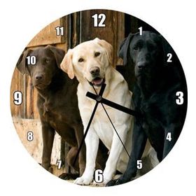 Cakatablo Kahve Krem ve Siyah Labradorlar Duvar Saati