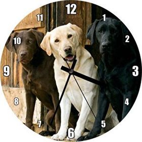 Cakatablo Kahve Krem ve Siyah Labradorlar Duvar Saati