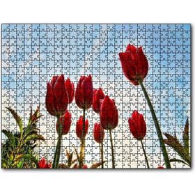 Cakatablo Kırmızı Lale Bahçesi Görseli 1000 Parça Puzzle