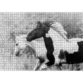 Cakatablo Koşan Siyah Beyaz Atlar Görseli 1000 Parça Puzzle