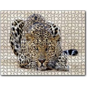 Cakatablo Kumların Üzerinde Pusudaki Leopar 255 Parça Puzzle