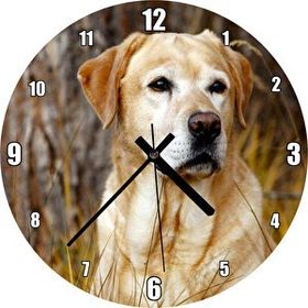 Cakatablo Kuru Otların Arasındaki Labrador Duvar Saati