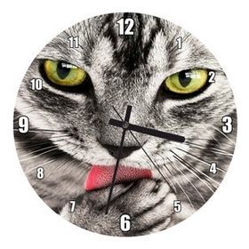 Cakatablo Patilerini Yalayan Kedi Yakın Çekim Duvar Saati