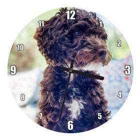 Cakatablo Siyah Beyaz Kıvırcık Tüylü Terrier Duvar Saati