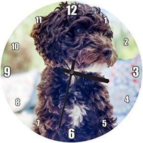 Cakatablo Siyah Beyaz Kıvırcık Tüylü Terrier Duvar Saati