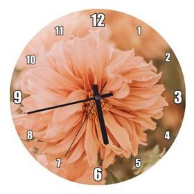 Cakatablo Soluk Pembe Renkli Çiçekler Yakın Çekim Duvar Saati