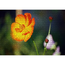 Cakatablo Yabani Portakal Çiçeği 1000 Parça Puzzle