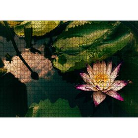 Cakatablo Yıldız Lotus Çiçeği Görseli 1000 Parça Puzzle