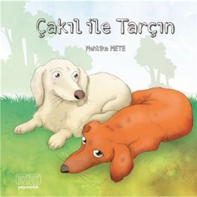 Çakıl ile Tarçın - Mehlika Mete