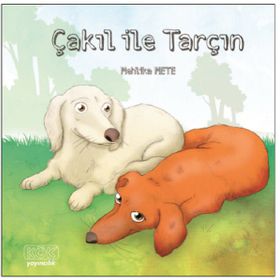 Çakıl ile Tarçın - Mehlika Mete