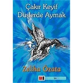 ÇAKIR KEYIF DÜŞLERDE AYMAK - GENEL