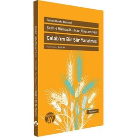 ÇALAB'IM BIR ŞAR YARATMIŞ ŞERH-I RÜMUZAT-I HACI BAYRAM VELI - İSMAIL HAKKI BURSEVI