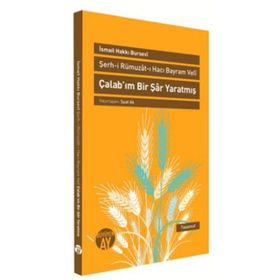ÇALAB'IM BIR ŞAR YARATMIŞ ŞERH-I RÜMUZAT-I HACI BAYRAM VELI - İSMAIL HAKKI BURSEVI