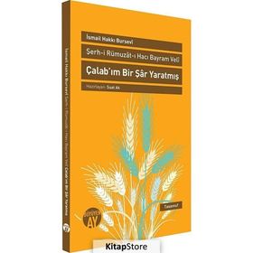 ÇALAB'IM BIR ŞAR YARATMIŞ ŞERH-I RÜMUZAT-I HACI BAYRAM VELI - İSMAIL HAKKI BURSEVI