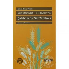 ÇALAB'IM BIR ŞAR YARATMIŞ ŞERH-I RÜMUZAT-I HACI BAYRAM VELI - İSMAIL HAKKI BURSEVI
