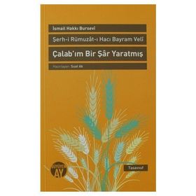 ÇALAB'IM BIR ŞAR YARATMIŞ ŞERH-I RÜMUZAT-I HACI BAYRAM VELI - İSMAIL HAKKI BURSEVI