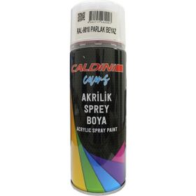 Caldini 9010 400 ml Mat Beyaz Sprey Boya Ral