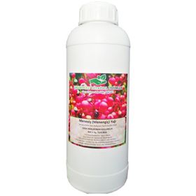 Çalıkoğlu 1 lt Bitkisel Menengiç Yağı