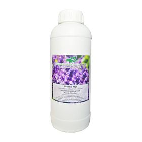 Çalıkoğlu 1 lt Lavanta Yağı