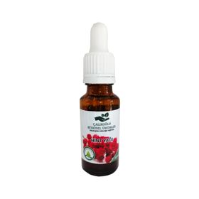 Çalıkoğlu Bitkisel Ürünler 20 ml Hint Yağı