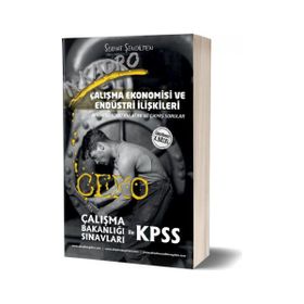 Çalışma Ekonomisi ve Endüstri İlişkileri - Serhat Şendilmen