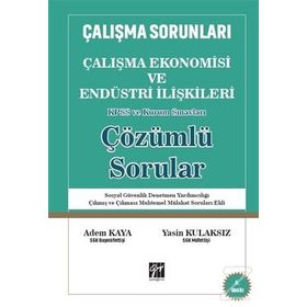 Çalışma Ekonomisi ve Endüstri İlişkileri - Taner Akçacı